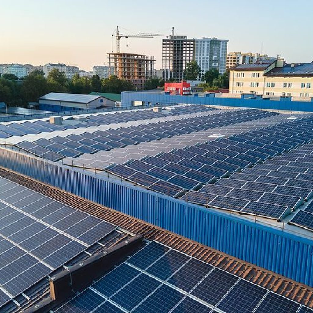 WhatsApp Image 2025-11-08 at 2.28.58 PM (1)