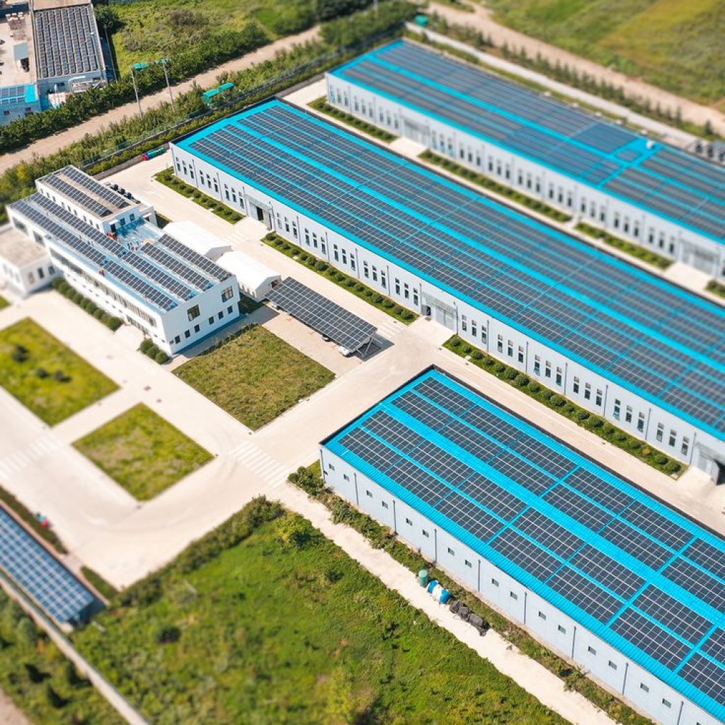 WhatsApp Image 2025-11-08 at 2.28.58 PM