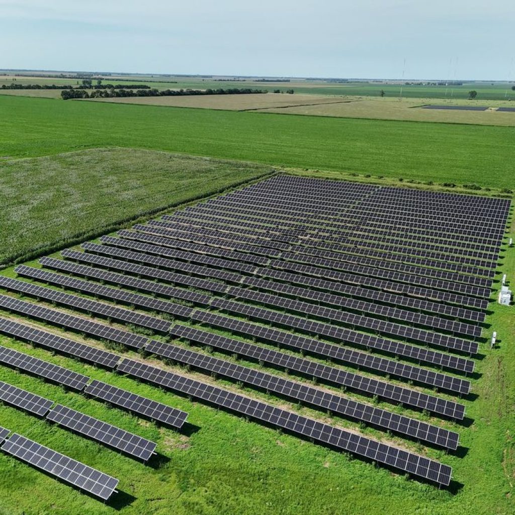 WhatsApp Image 2025-11-08 at 2.31.48 PM (3)